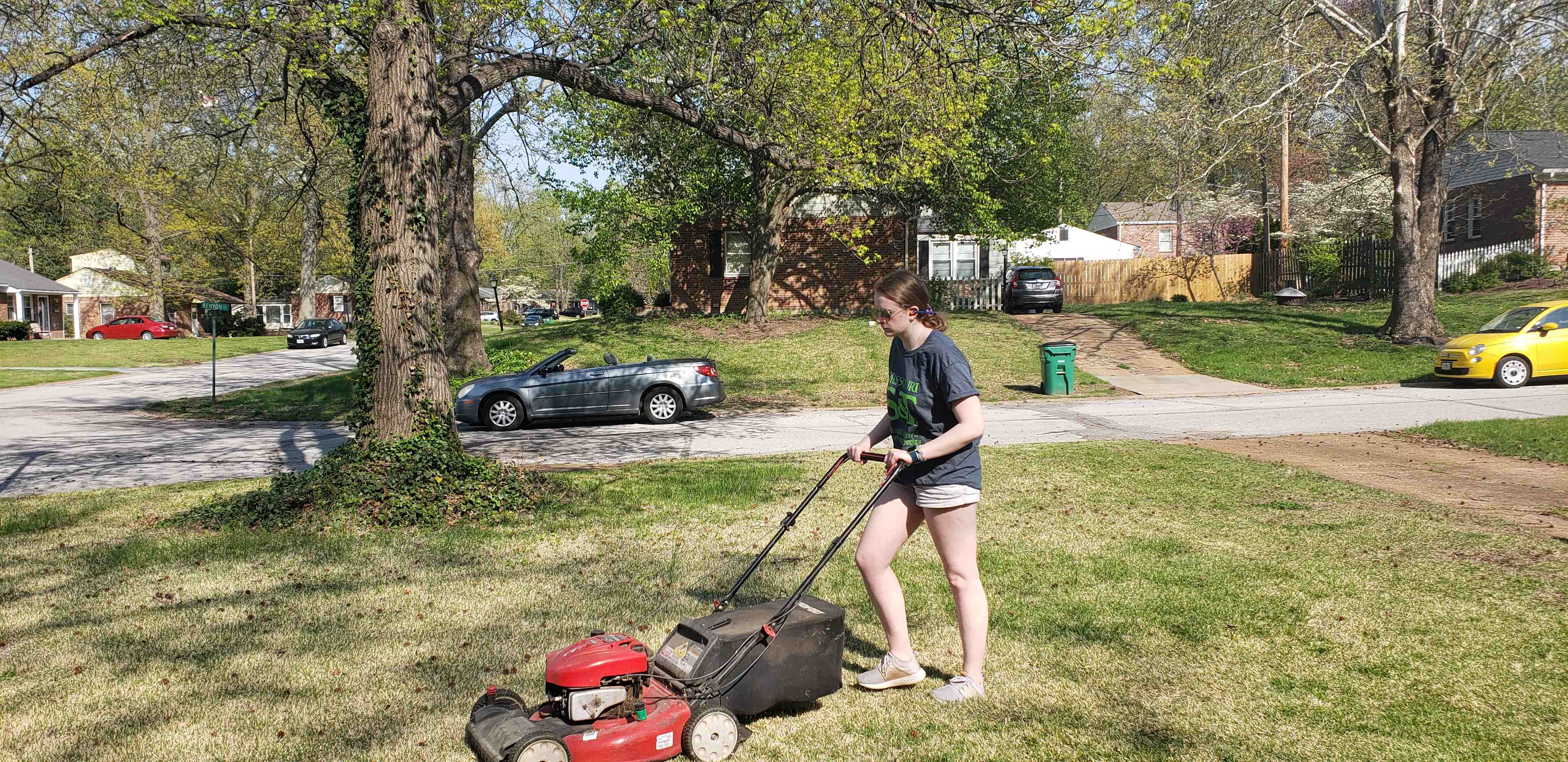 2020-04-19 Jane Mowing.jpg